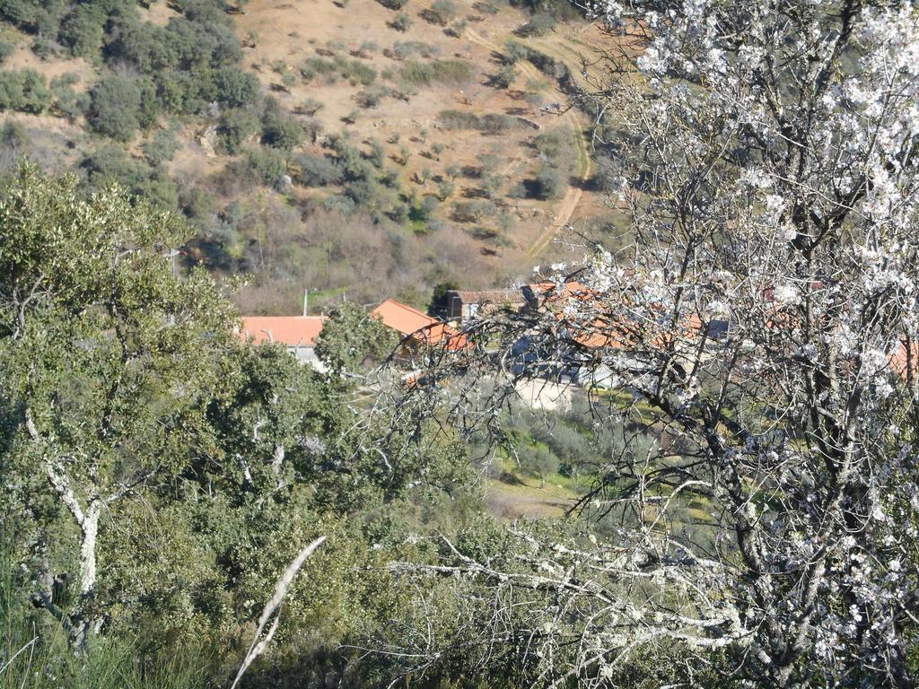 Villa Casa Do Souto Quinta do Souto Exterior foto
