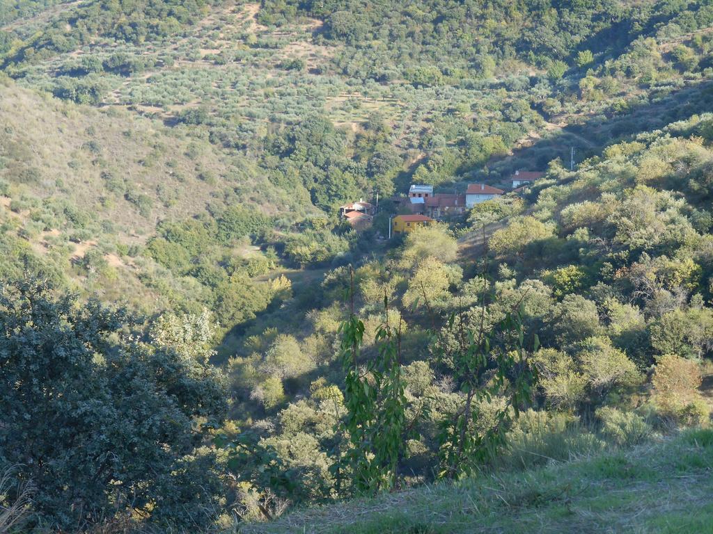 Villa Casa Do Souto Quinta do Souto Exterior foto